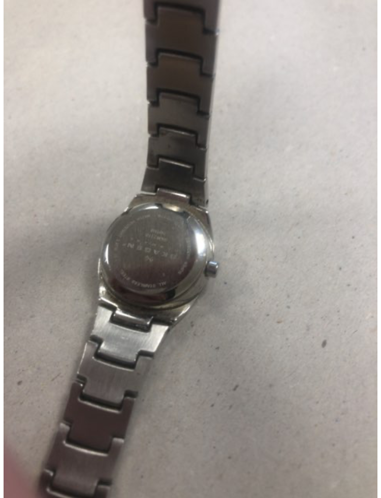 SKAGEN Ur